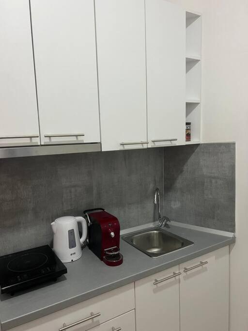 Sany Center Apartment Belgrade Exterior photo